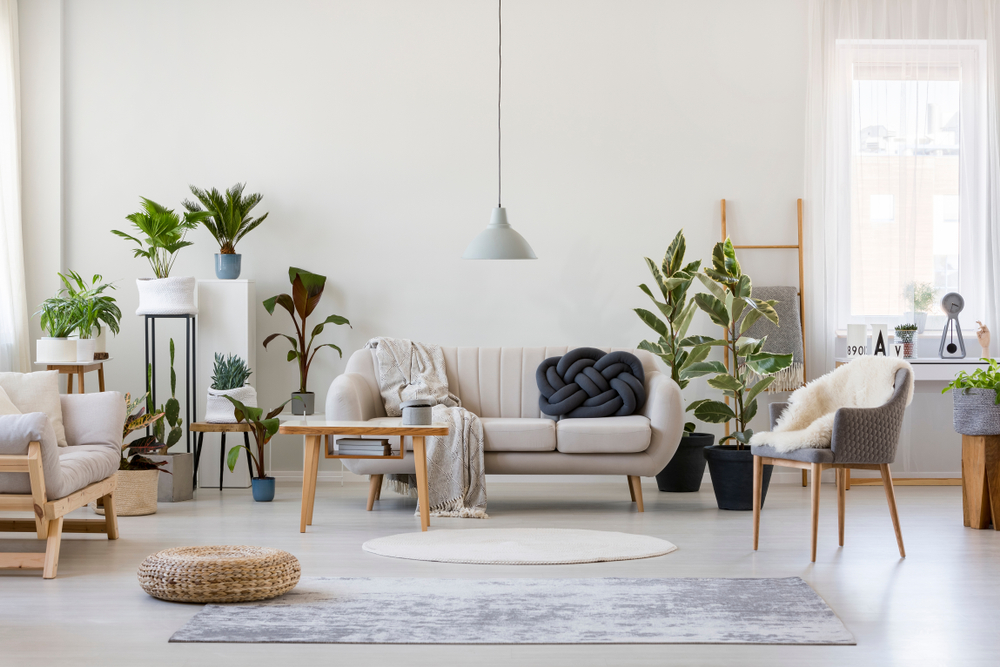 living room indoor plant styling