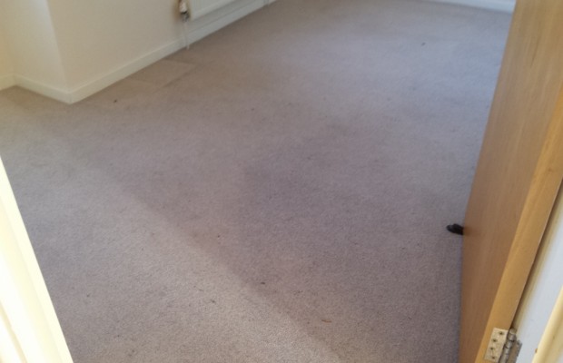 Dirty Facts About Carpet Spot Removal Revealed